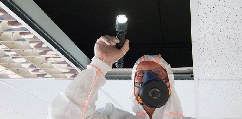 Asbestos surveys provide the company with solutions to please customers